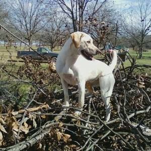 Meet your Posher, Billanita